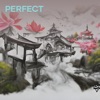 Perfect - Single