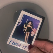 Flush It - Single