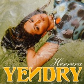 YEИDRY - Herrera