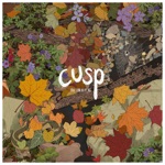 Cusp - What Does It Mean?