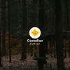 Dark Canadian Forests - EP