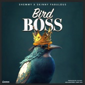 Bird Boss artwork