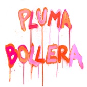 Pluma bollera artwork