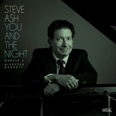 Steve Ash - You And The Night And The Music