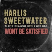 Won't Be Satisfied artwork