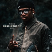 Narsheshe 2.0 artwork