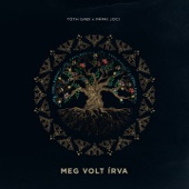 Meg volt írva (feat. Pápai Joci) artwork