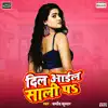 Dil Aail Sali P (feat. Sapna) album lyrics, reviews, download