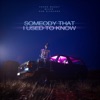 Somebody That I Used To Know - Single