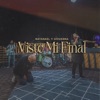 Viste Mi Final - Single