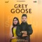 Grey Goose - Preet Sandhu lyrics