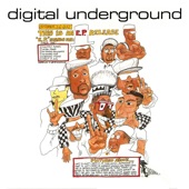 Digital Underground - Same Song
