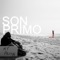Spun Out - Son Primo lyrics