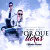 Por Que Lloras (feat. Ken-Y) [Mambo Version] - Single album lyrics, reviews, download
