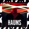 I Want You (Erdi Irmak Remix) [Mixed] - HAUMS lyrics