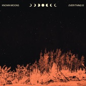 Known Moons - Simultaneous Highs