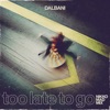 Too Late to Go (Nikko Mad Mix) - Single