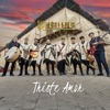 Triste Amor - Single