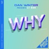 Why (Dan Winter Presents LT Dan) - Single, 2022