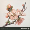 Blooming - Single
