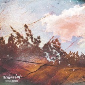 The Album Leaf - Images
