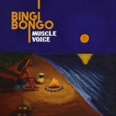 Bingi Bongo Dub artwork