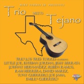 Trio los Tres Torres - Diganle (feat. Johnny Hernandez) feat. Johnny Hernandez