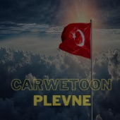 Plevne (feat. Hasan Ünver) artwork