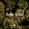 Ando gris - Sick players lyrics