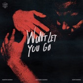 Won’t Let You Go artwork