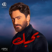 Enta Ekhtyar (From Bhabak Movie) - Tamer Hosny