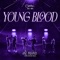 Young Blood(佳辰&祖安) artwork