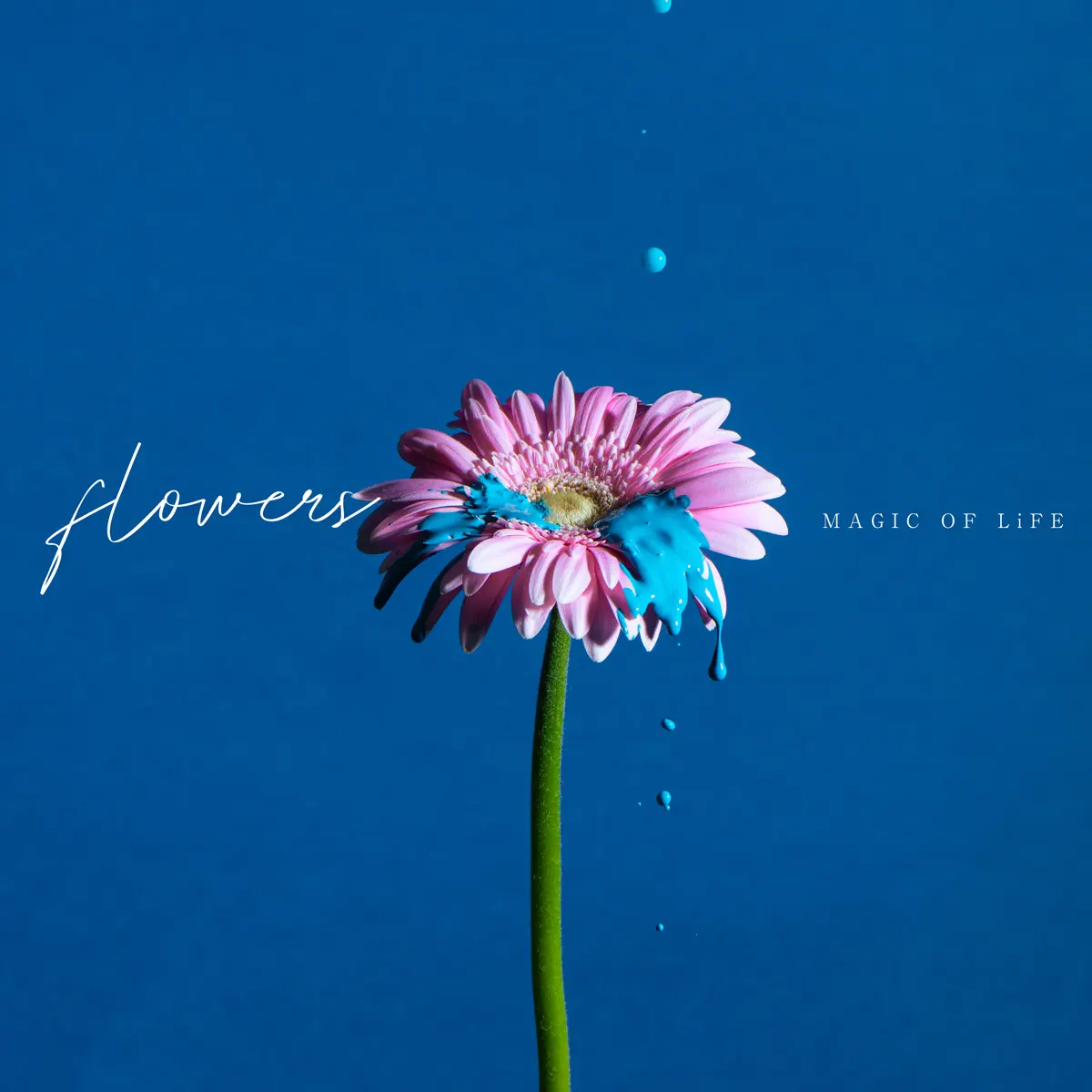 MAGIC OF LiFE - flowers (2023) [iTunes Plus AAC M4A]-新房子