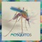 Mosquitos artwork