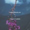 Fractures - Anderholm & Alexandra Pride lyrics