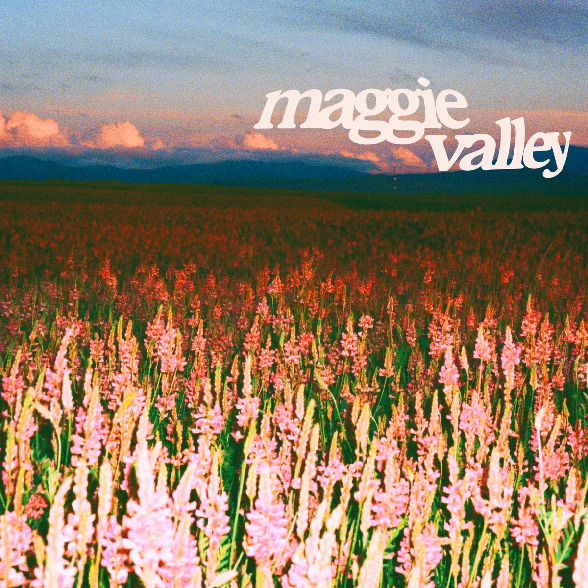 ‎Maggie Valley EP by Weston Estate on Apple Music