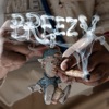 Breezy - Single