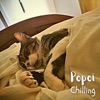 Chilling - Single