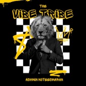 The Vibe Tribe artwork