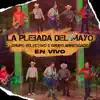 La Plebada Del Mayo (En Vivo) - Single album lyrics, reviews, download