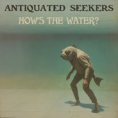 Antiquated Seekers - How's the Water?