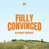 Fully Convinced (Live) [feat. Caleb Brocaille] artwork