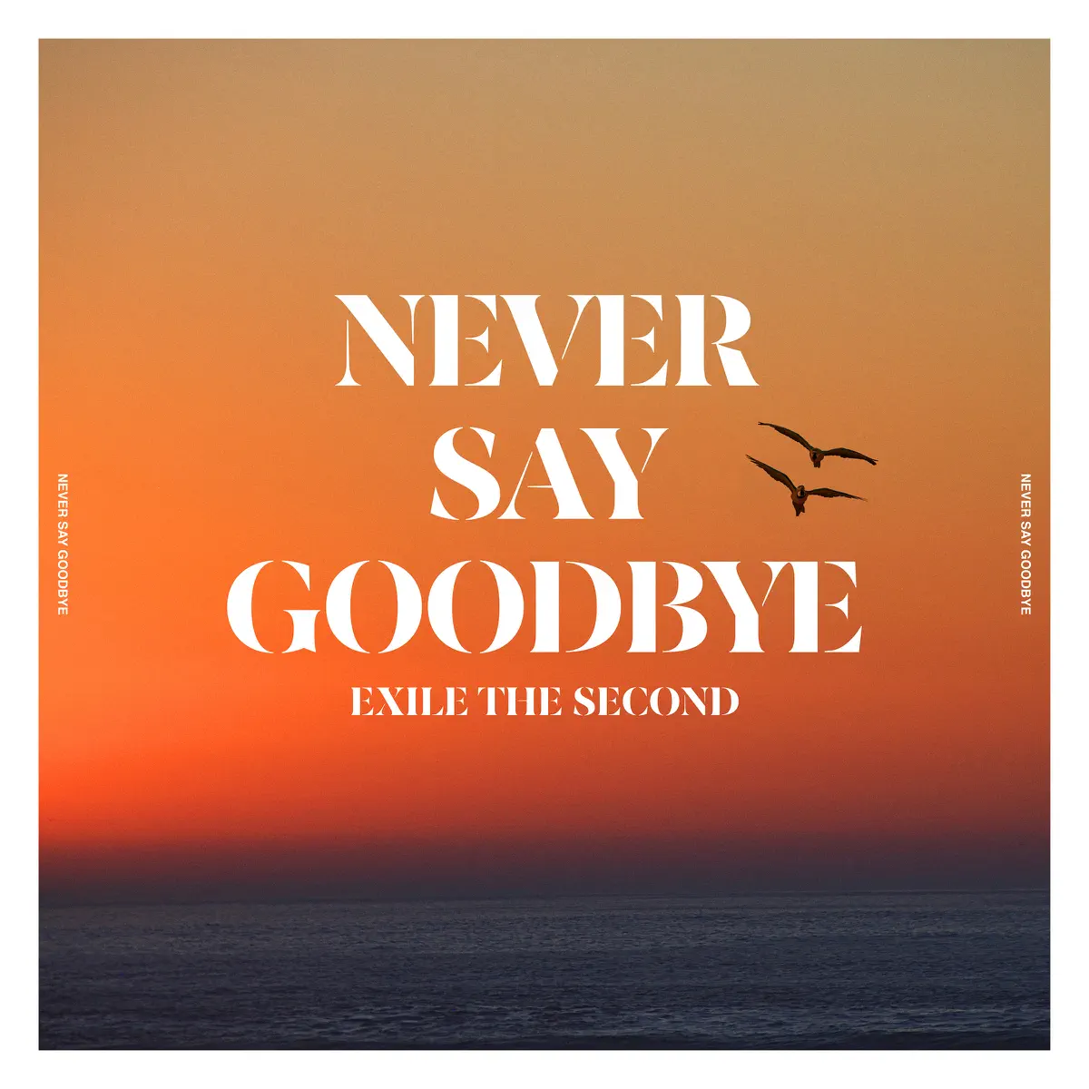 放浪二勢力 EXILE THE SECOND - NEVER SAY GOODBYE - Single (2023) [iTunes Plus AAC M4A]-新房子