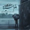 دلم اسیرته - مهرشاد کاووسی lyrics
