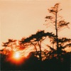 Sundown - Single