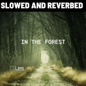 In the Forest (slowed and reverbed) artwork