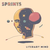 Sprints - Literary Mind (Live at Whelan's)