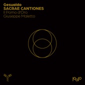 Gesualdo: Sacræ Cantiones artwork