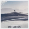 Last Goodbye - Single