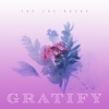 Gratify - Single